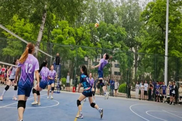 ATP年终总决赛德约科维奇出线形势与辛纳对决分析关键战与积分推演